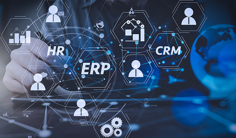 erp development