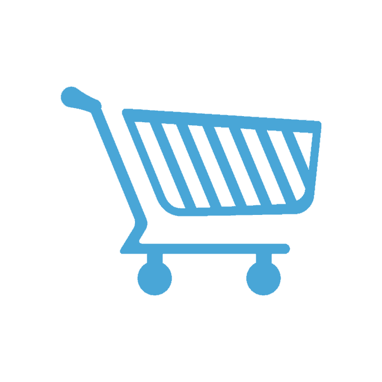 Ecommerce Website Designing Company in Rohini
